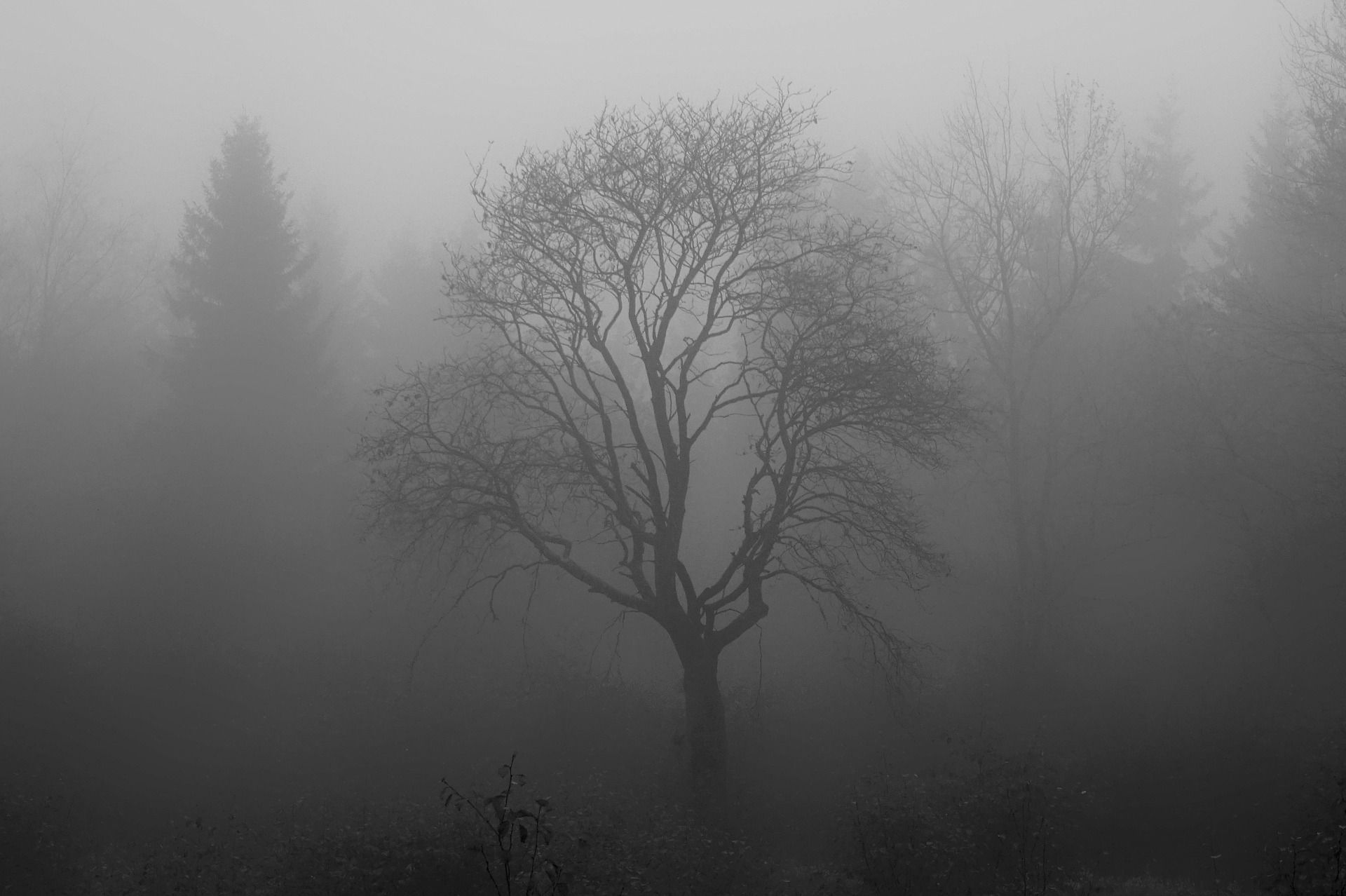 Angst als Wesenheit