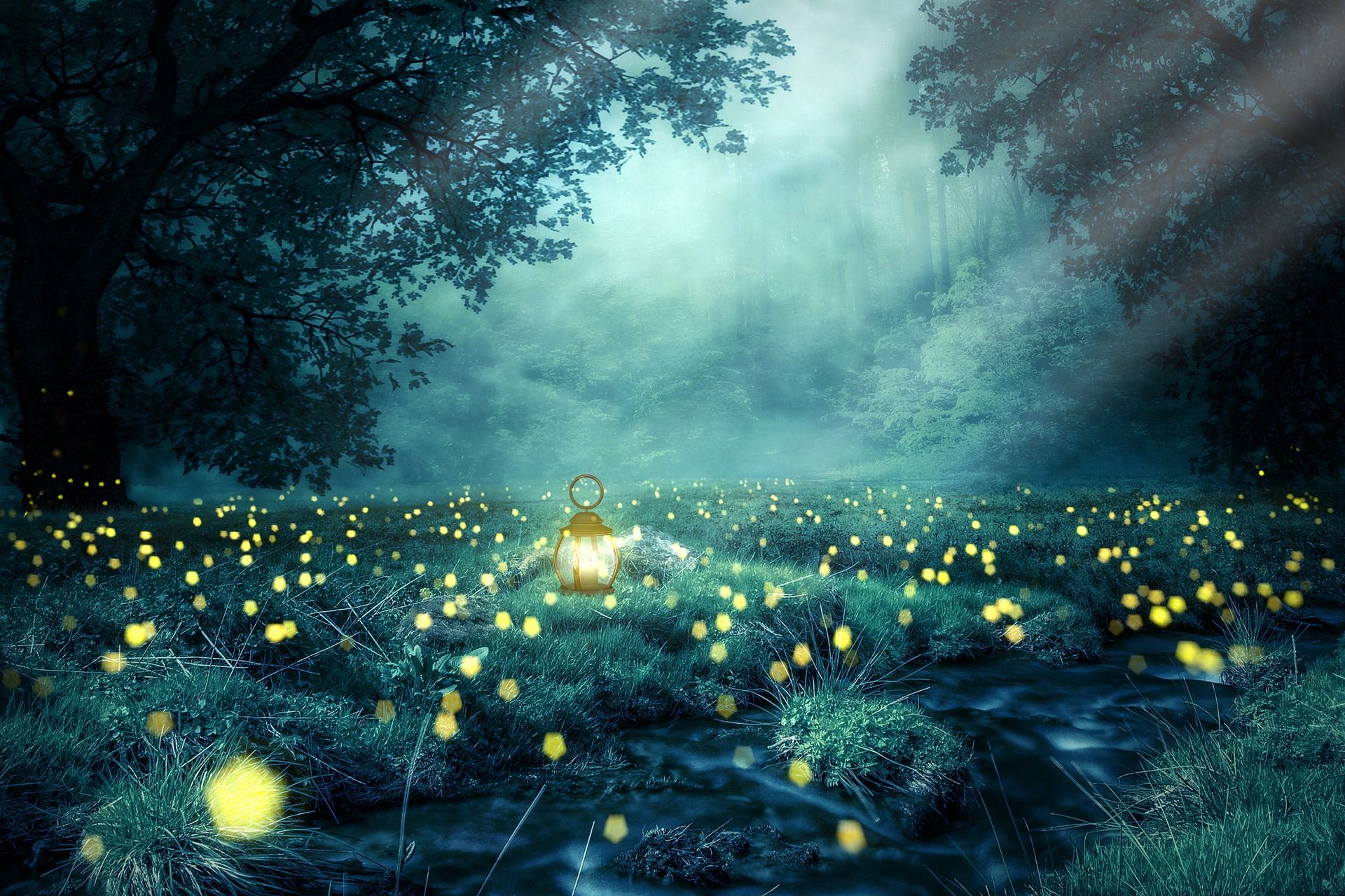Ein Licht in dieser Welt sein