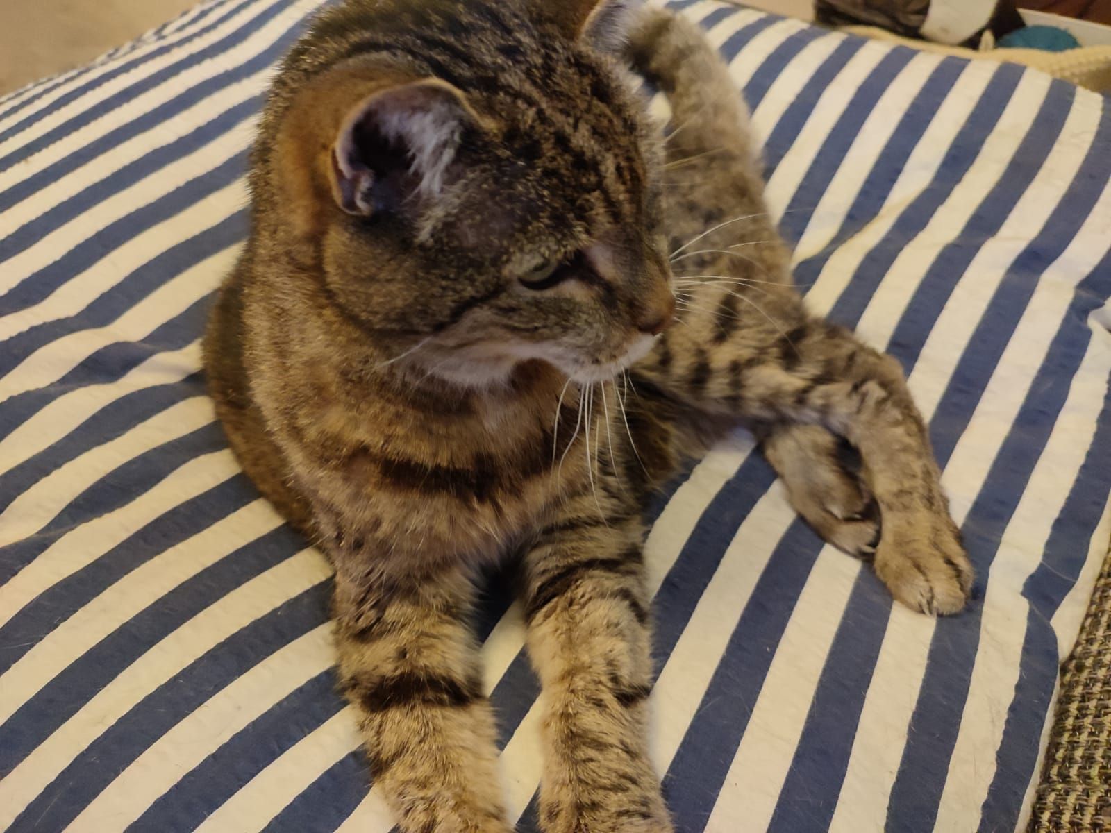 Die alte Heilerin – ein Portrait