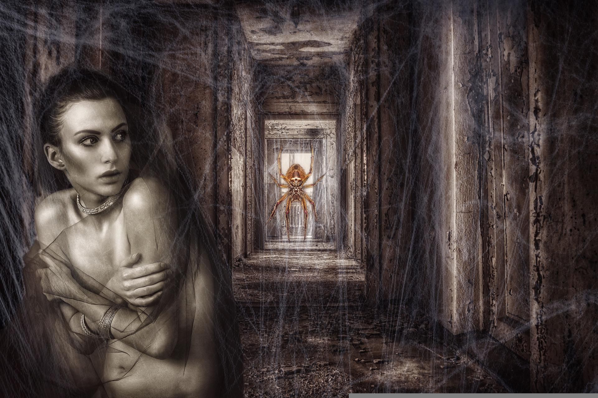 Das Internet – eine Wesenheit?