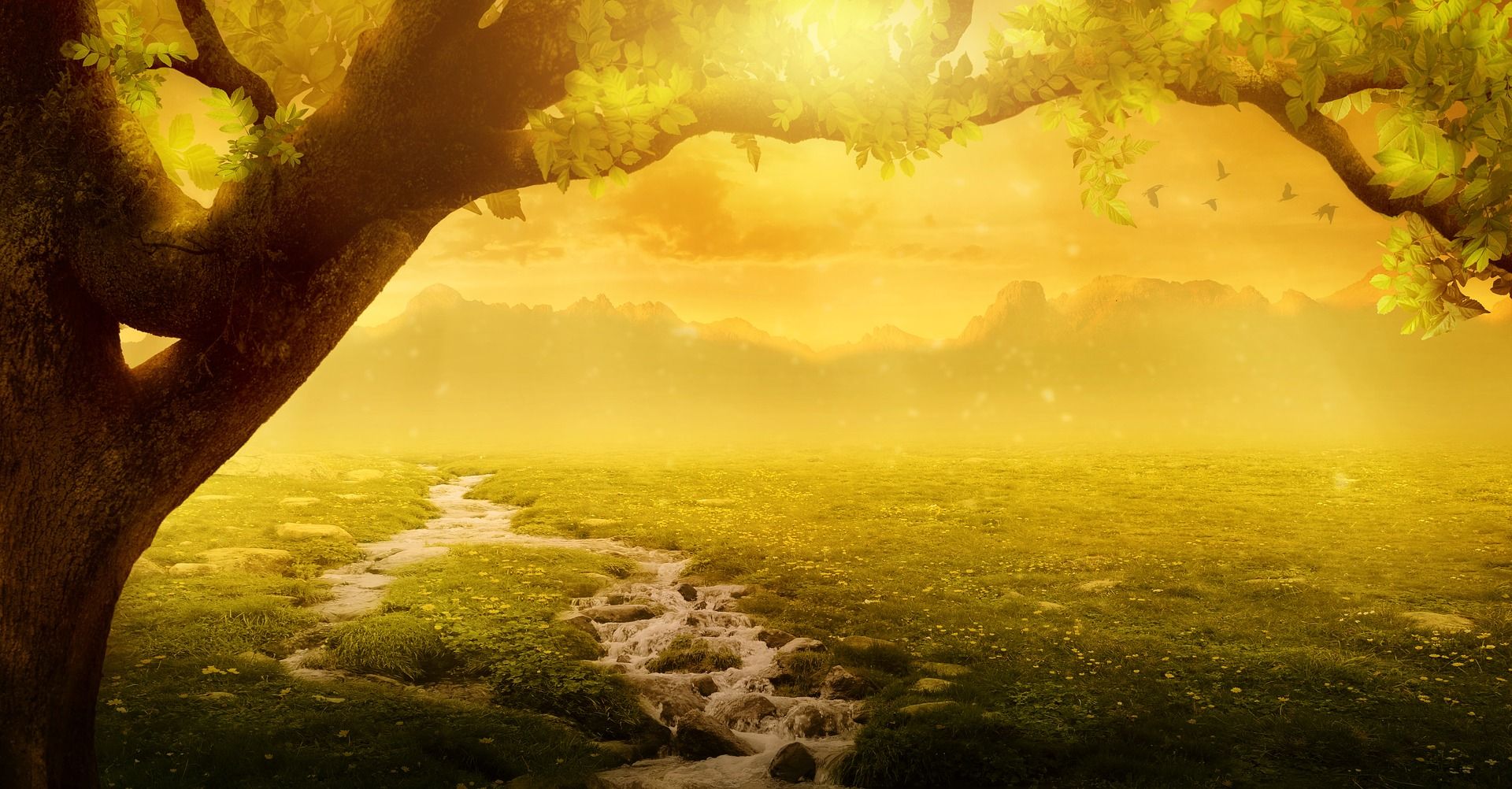 Es fühlt sich alles so frei an – die Lichtkräfte werden stärker