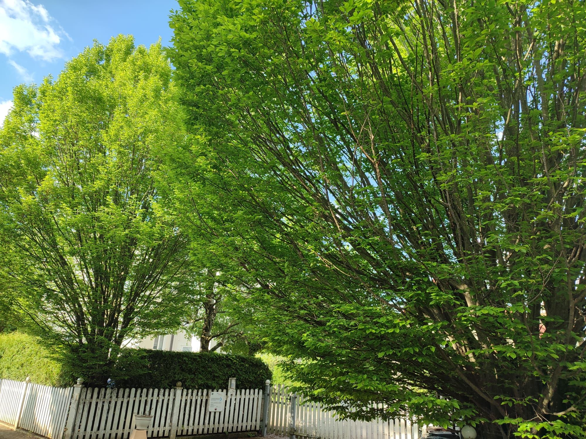 Heilende Gärten erschaffen