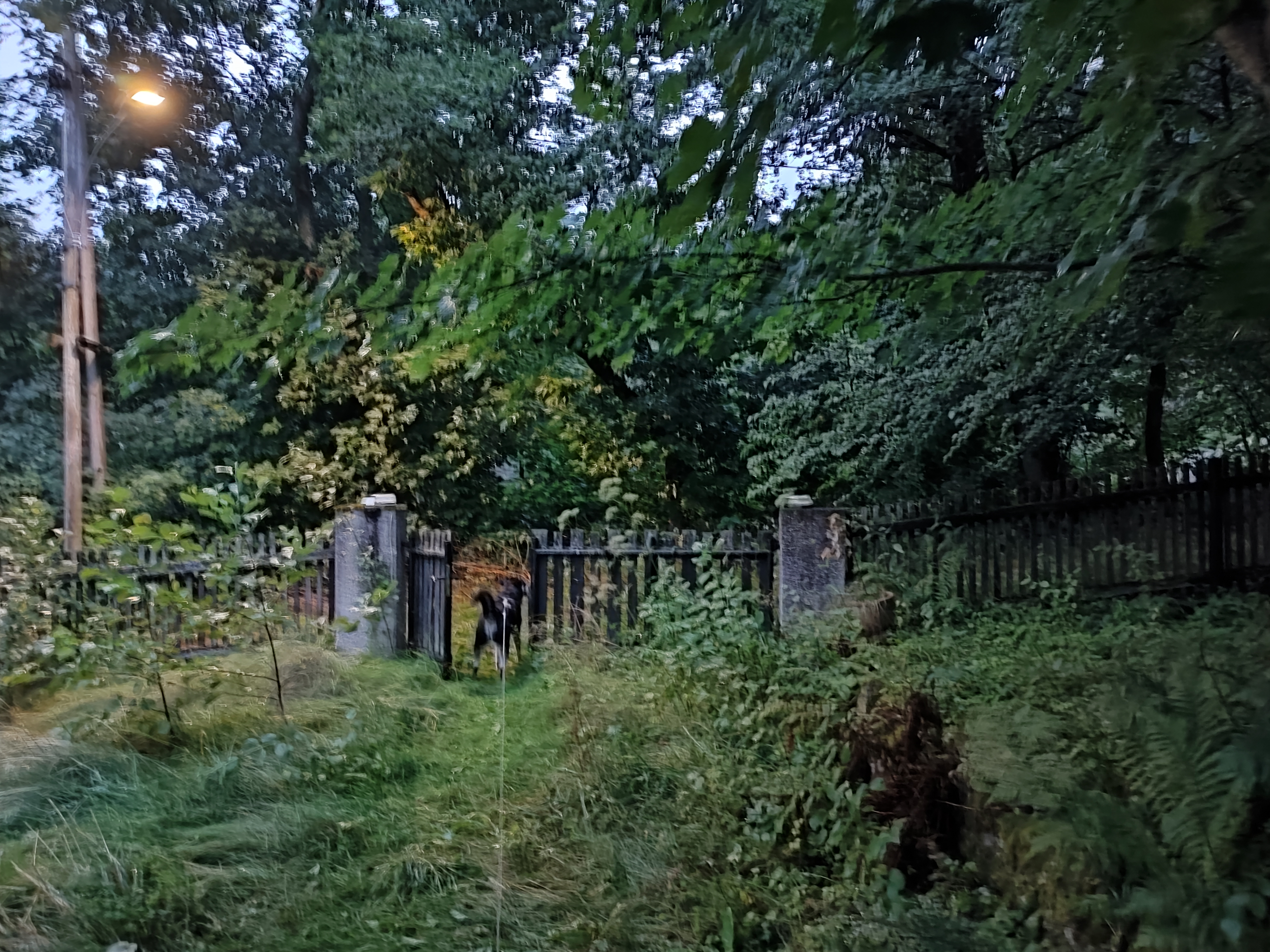 Ich wünsche euch allen eine gute Nacht…alles Weitere morgen