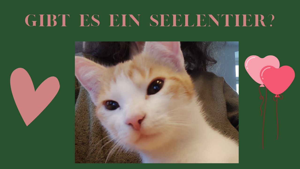 Seelentier – gibt es das?
