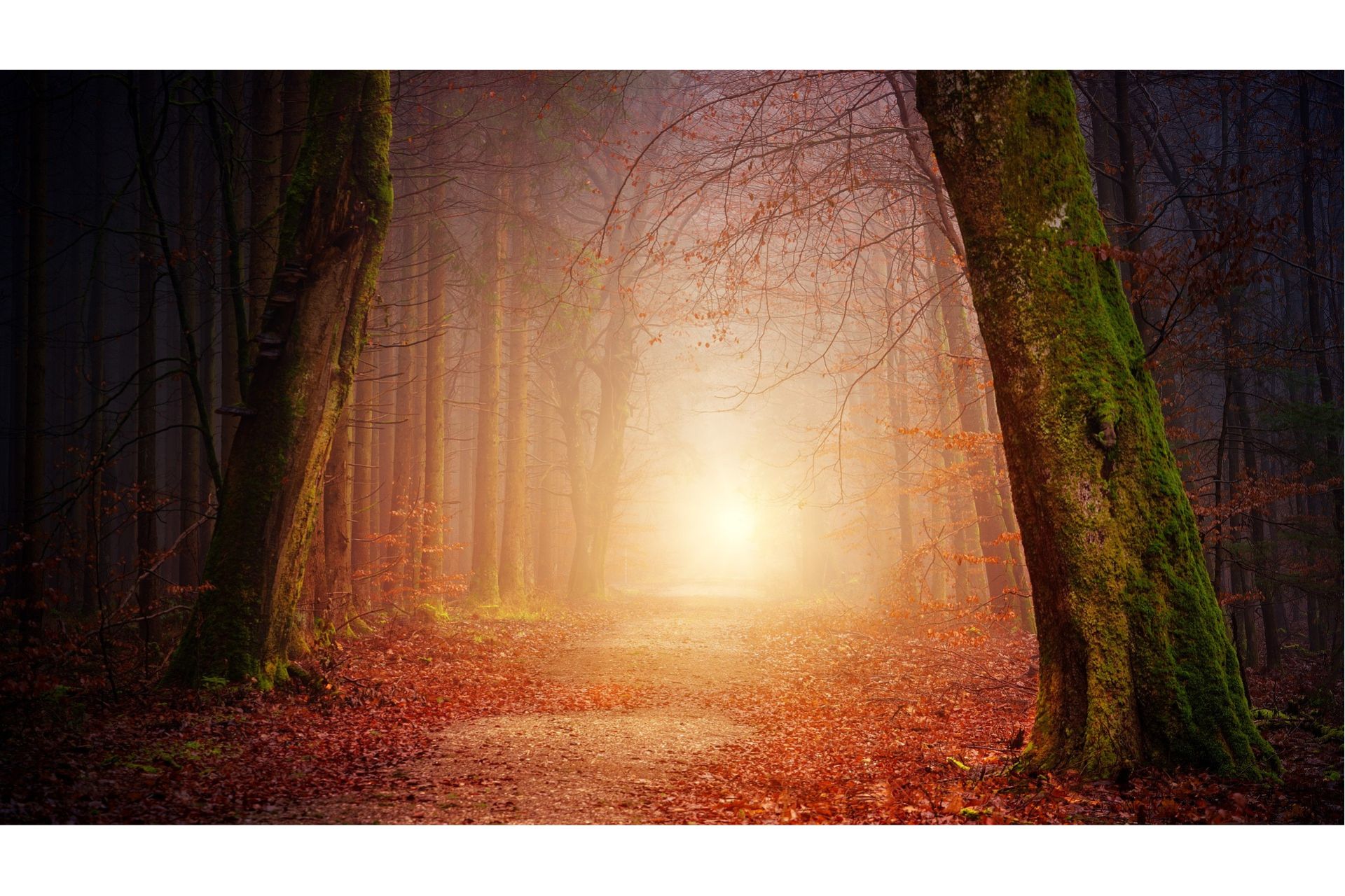 Ein heftiger Herbst steht bevor! Was geschieht gerade?