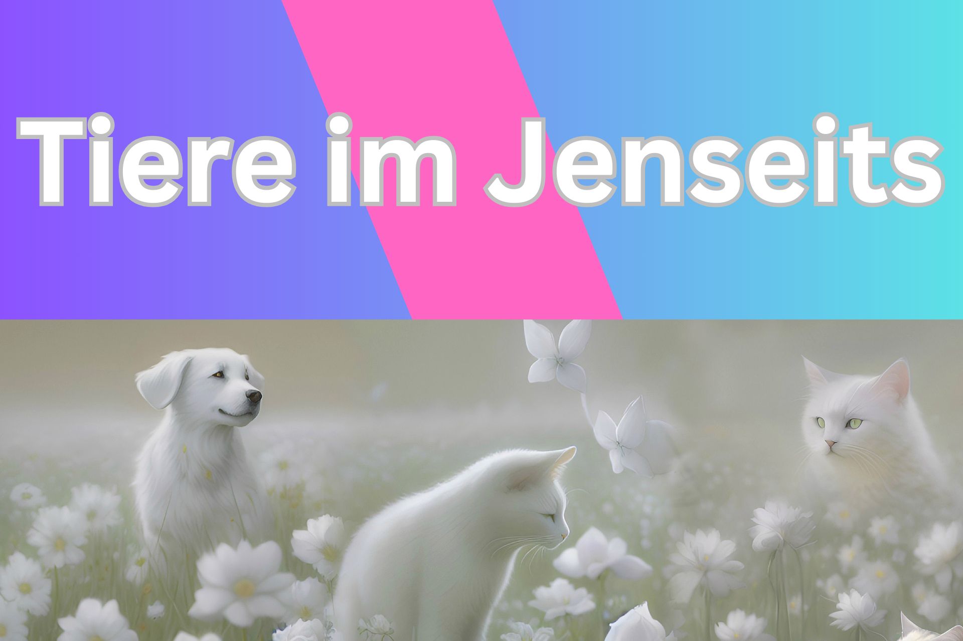 Himmlische Pfötchen – Tiere im Jenseits (Video)