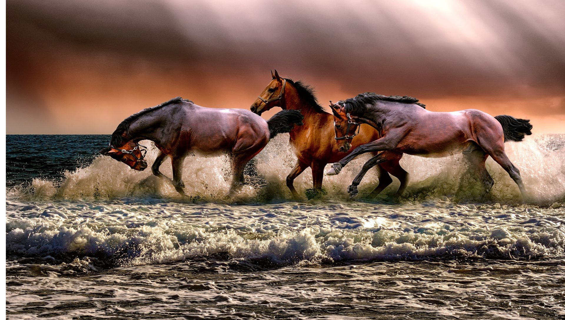 Wenn Tiere sprechen könnten