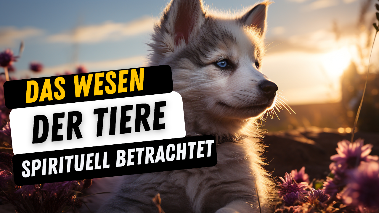 Das Wesen der Tiere spirituell betrachtet